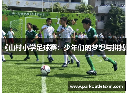 《山村小学足球赛：少年们的梦想与拼搏》